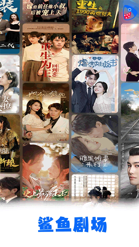 鹈鹕闭目养星河入梦壁纸